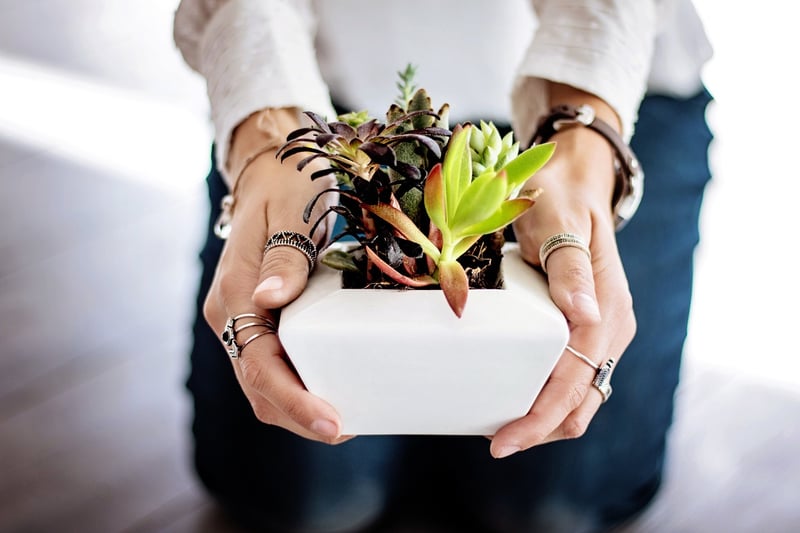 Repurposed Containers