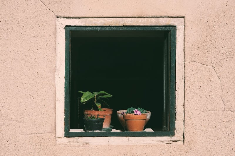 Windowsill Herb Garden
